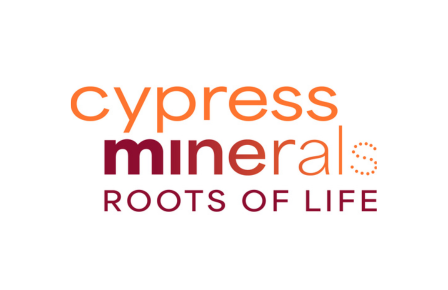 minerals 